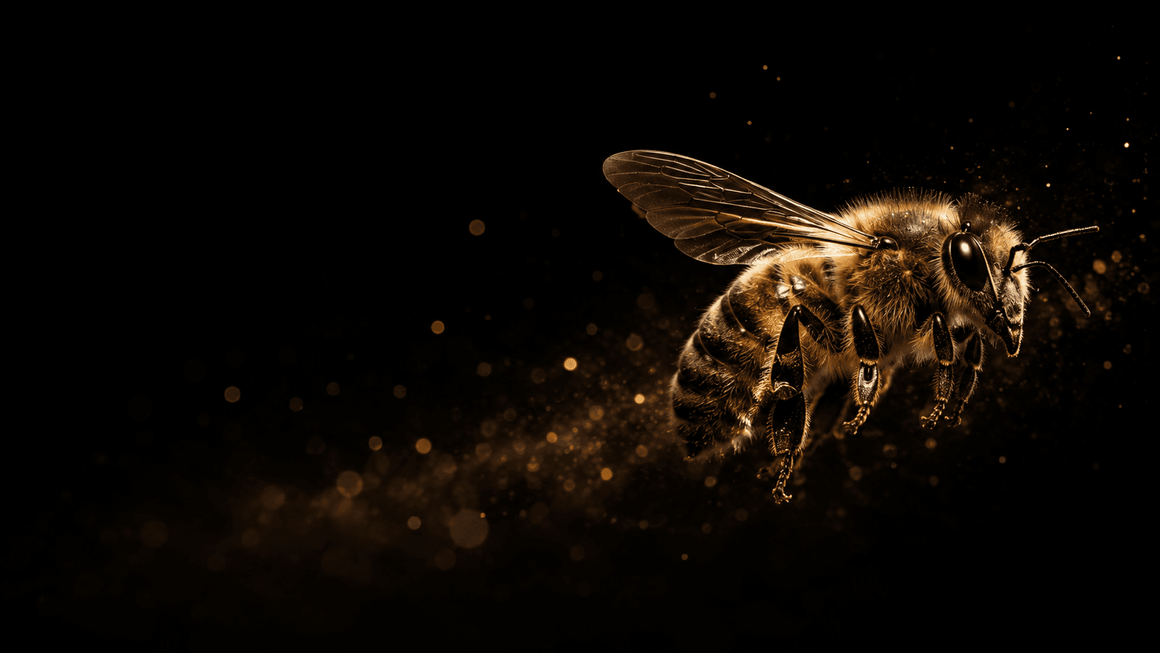 Bee in flight as a metaphor for systems, coordination and execution